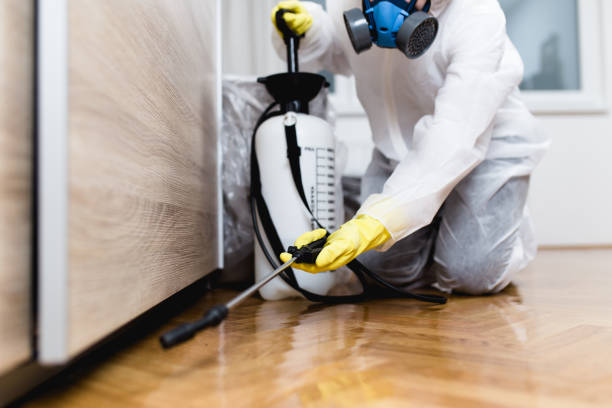 Pest Prevention Services in Cambridge, IL