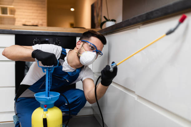 Best Termite Control Services  in Cambridge, IL