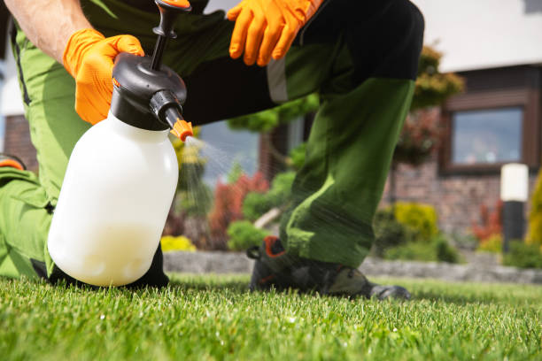 Best Wasp Removal Services  in Cambridge, IL