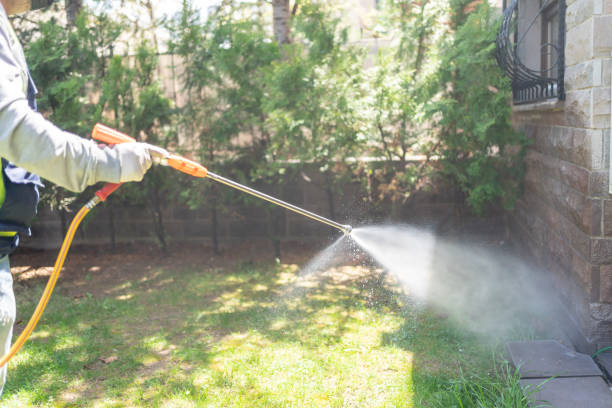 Best Affordable Exterminators  in Cambridge, IL