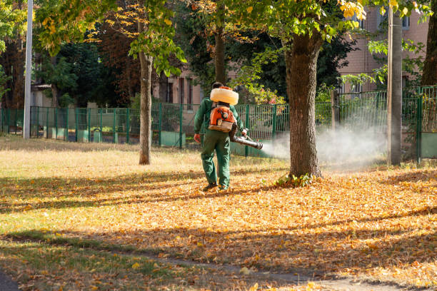 Trusted Cambridge, IL Pest Control Experts