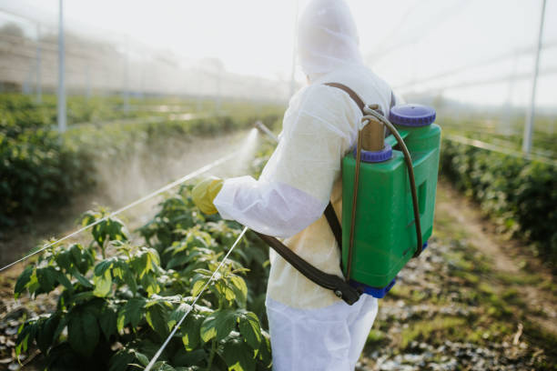Best Exterminator Services  in Cambridge, IL